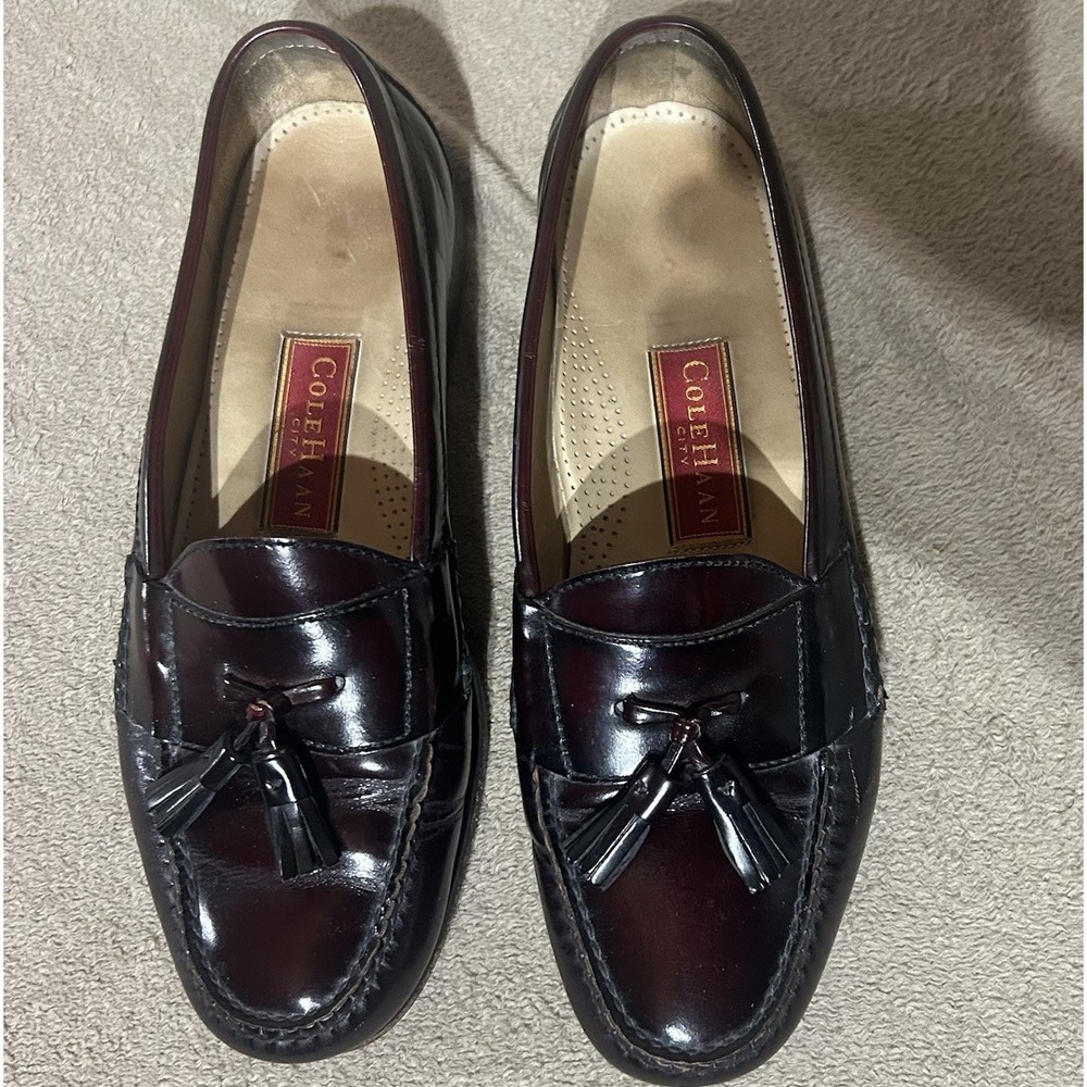 Cole Haan Burgundy Leather Tassel Loafers Men's Size 11 Dress Shoes Oxblood